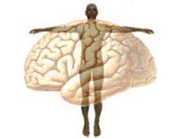 ارتباط ذهن و جسم با چاقی